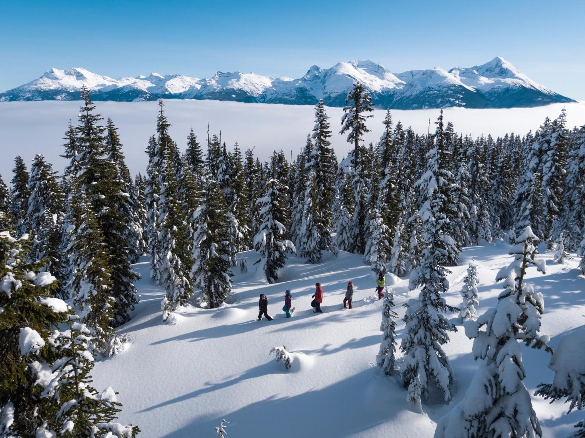 Ski In Ski Out Condo With Pool And Hot Tub By Harmony Whistler Exterior foto